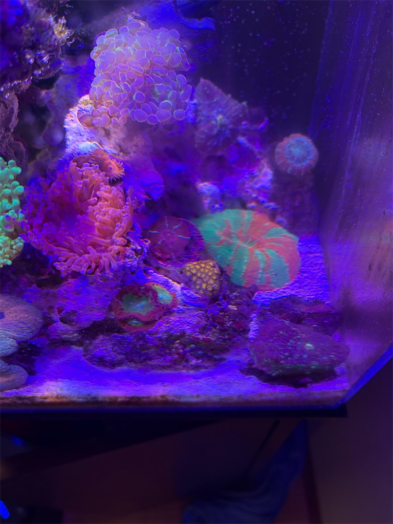 f:id:ncc1701f:20260526225555j:image