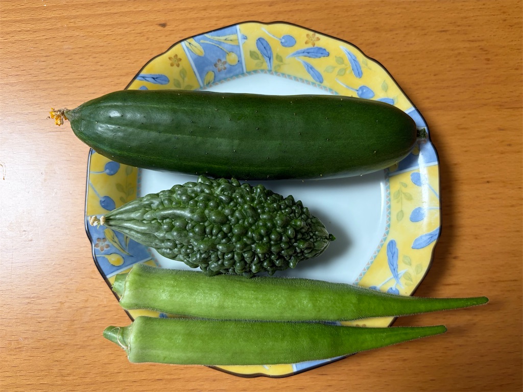 f:id:ncc1701f:20260901063719j:image f:id:ncc1701f:20260901063719j:image