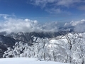 20170225125228