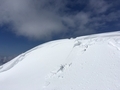 20170225125412