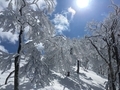 20170225131328