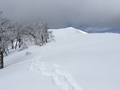 20170225135735