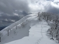 20170225135841