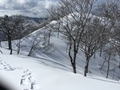20170225143418
