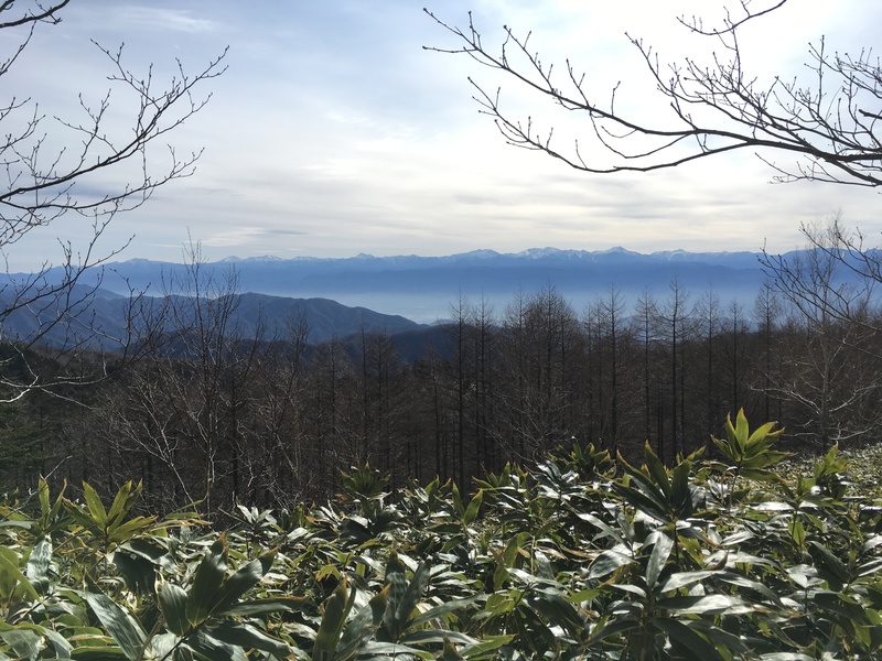 f:id:nceedo:20190428075809j:plain