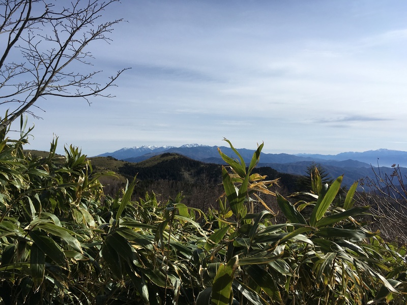 f:id:nceedo:20190428075817j:plain