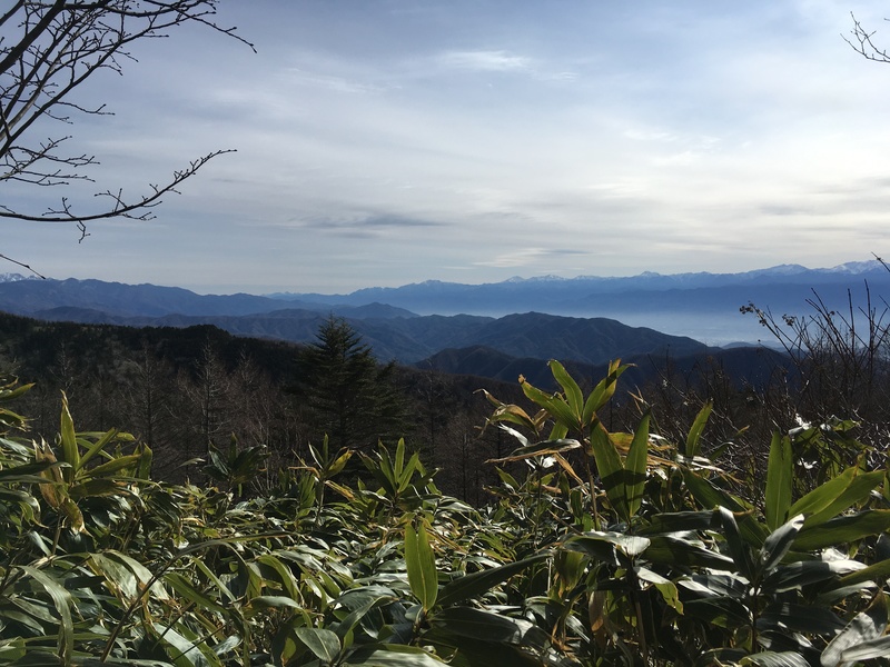 f:id:nceedo:20190428075826j:plain