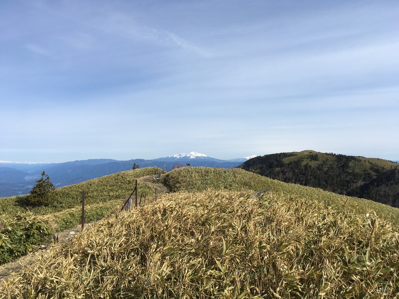 f:id:nceedo:20190428080318j:plain