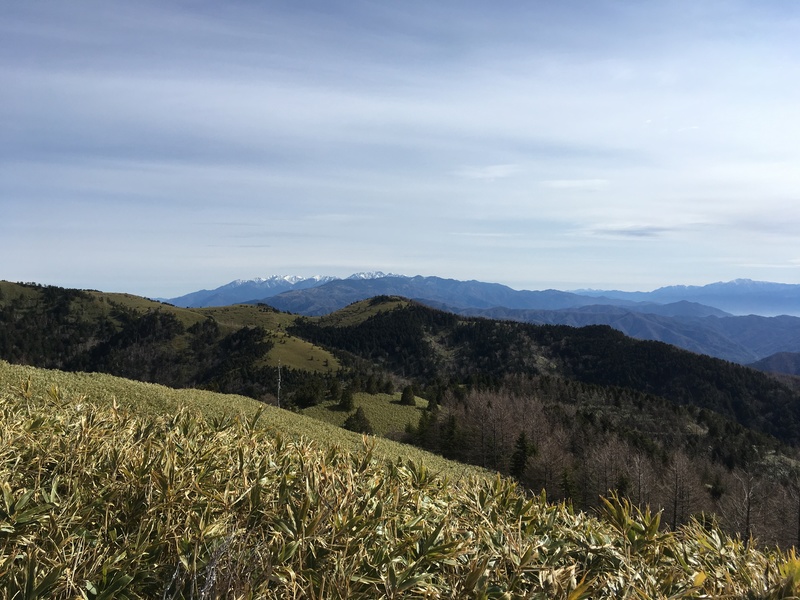 f:id:nceedo:20190428080320j:plain