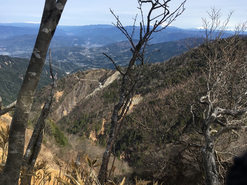 f:id:nceedo:20190428084431j:plain