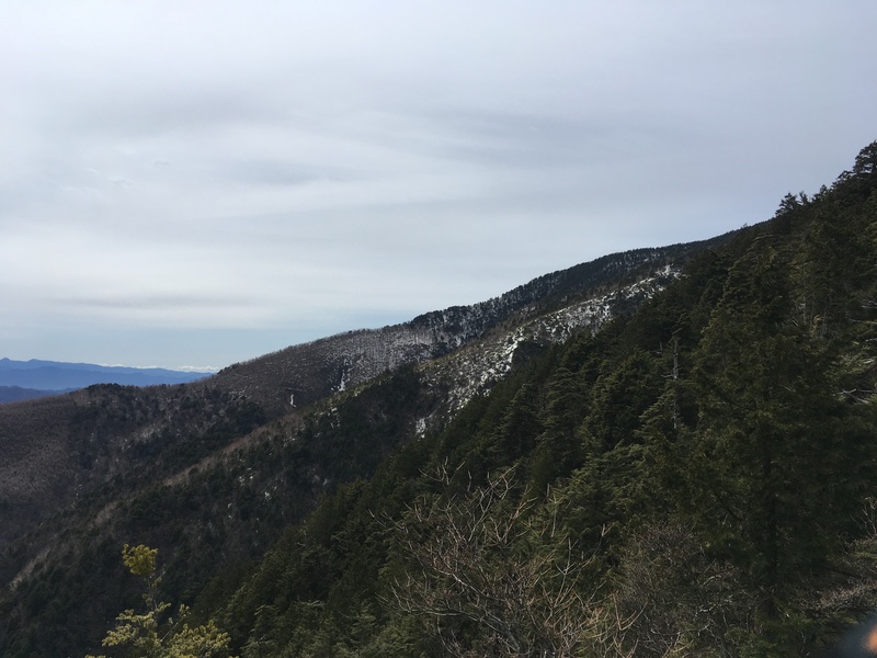 f:id:nceedo:20190428093948j:plain