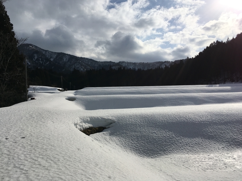 f:id:nceedo:20210213091534j:plain