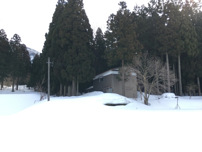 f:id:nceedo:20210213091957j:plain