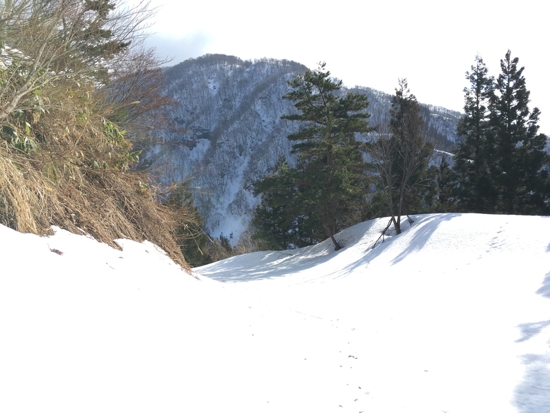 f:id:nceedo:20210213103304j:plain