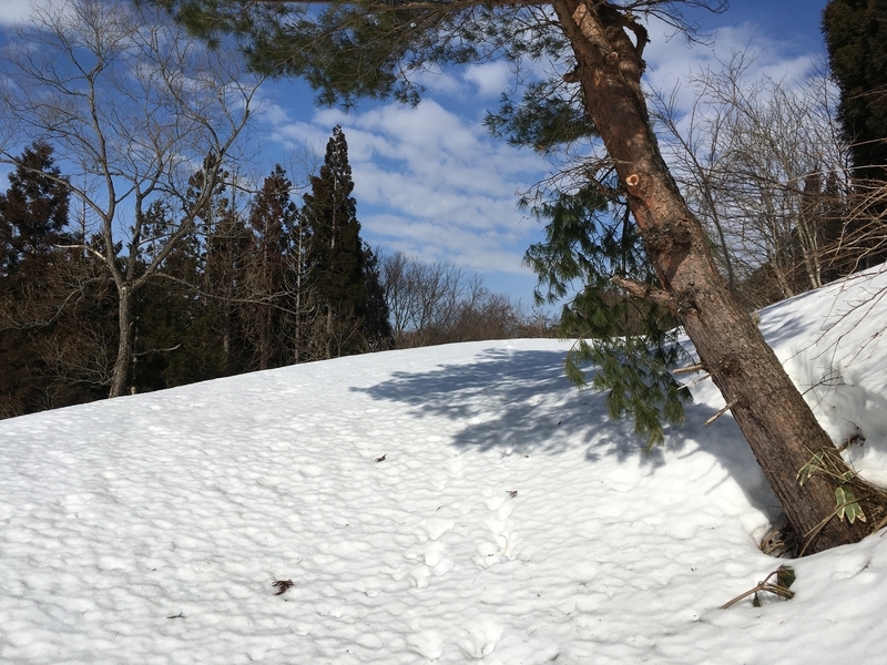 f:id:nceedo:20210213103307j:plain