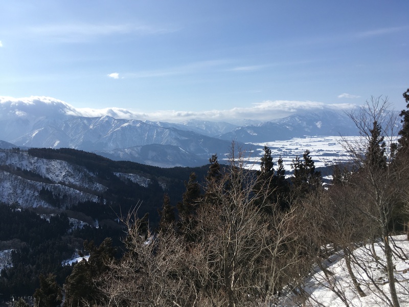 f:id:nceedo:20210213103659j:plain