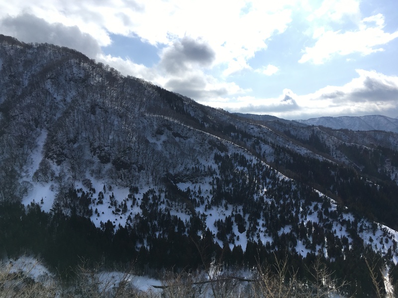 f:id:nceedo:20210213103709j:plain