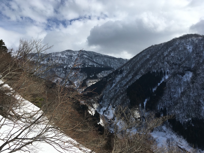 f:id:nceedo:20210213103713j:plain