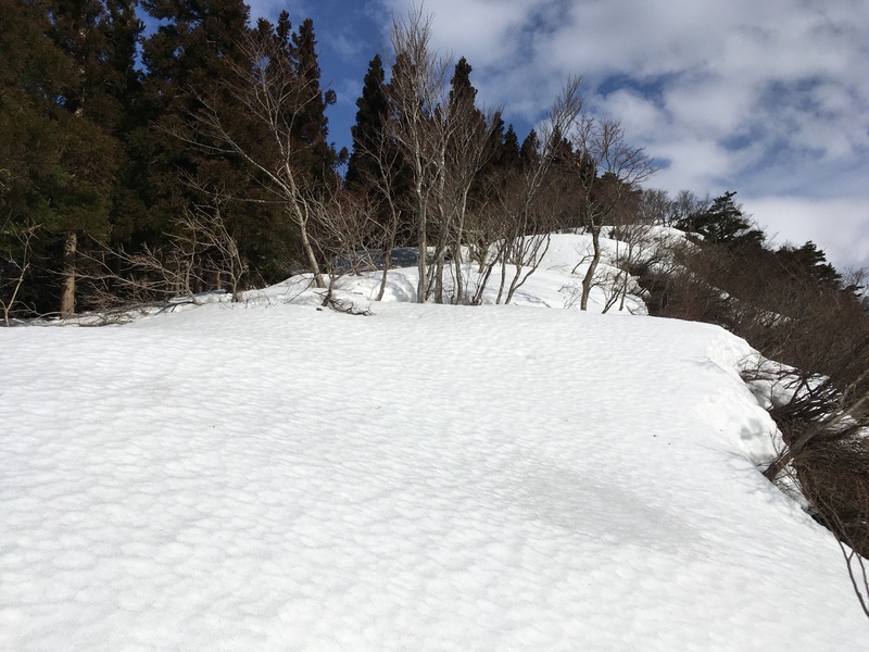 f:id:nceedo:20210213103722j:plain