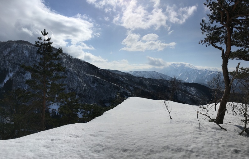 f:id:nceedo:20210213104513j:plain