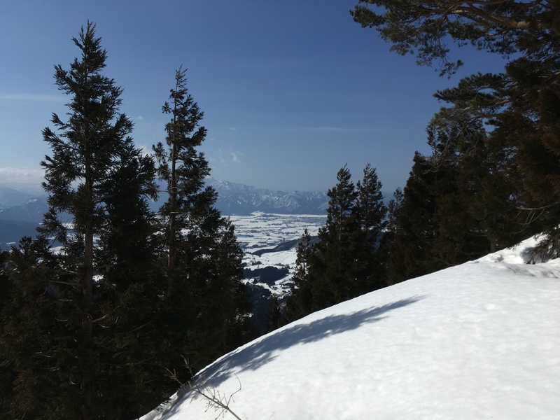 f:id:nceedo:20210213110305j:plain