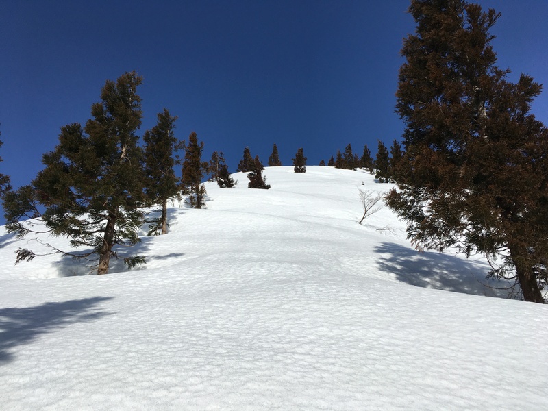 f:id:nceedo:20210213110603j:plain