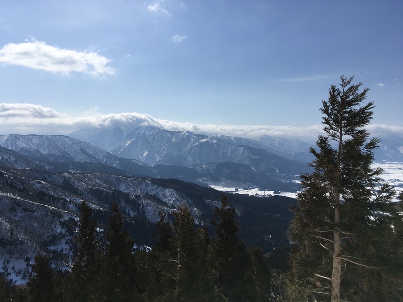 f:id:nceedo:20210213110800j:plain