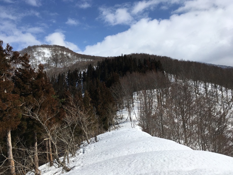 f:id:nceedo:20210213112017j:plain