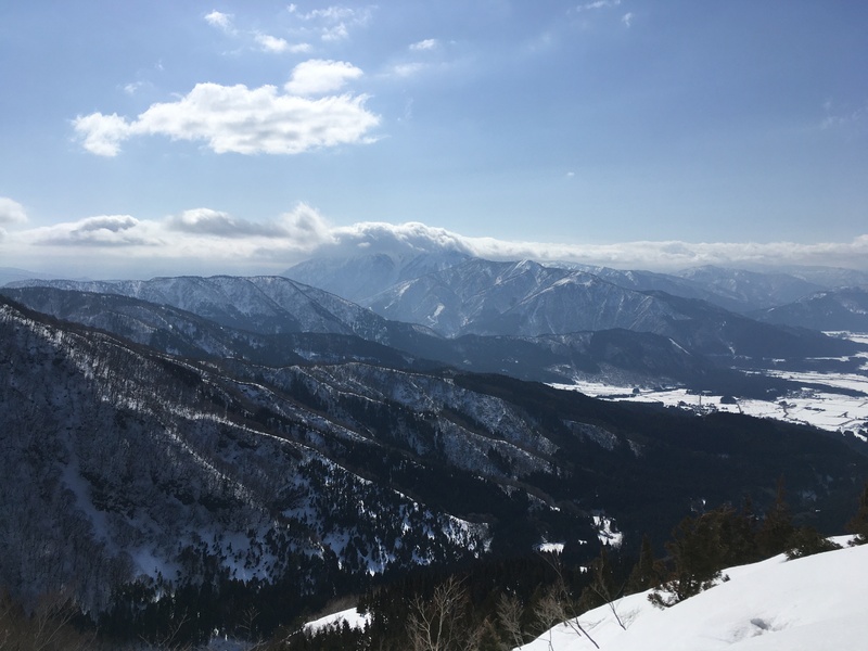 f:id:nceedo:20210213112022j:plain