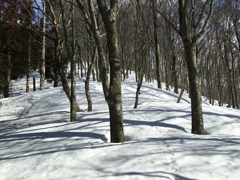 f:id:nceedo:20210213112542j:plain