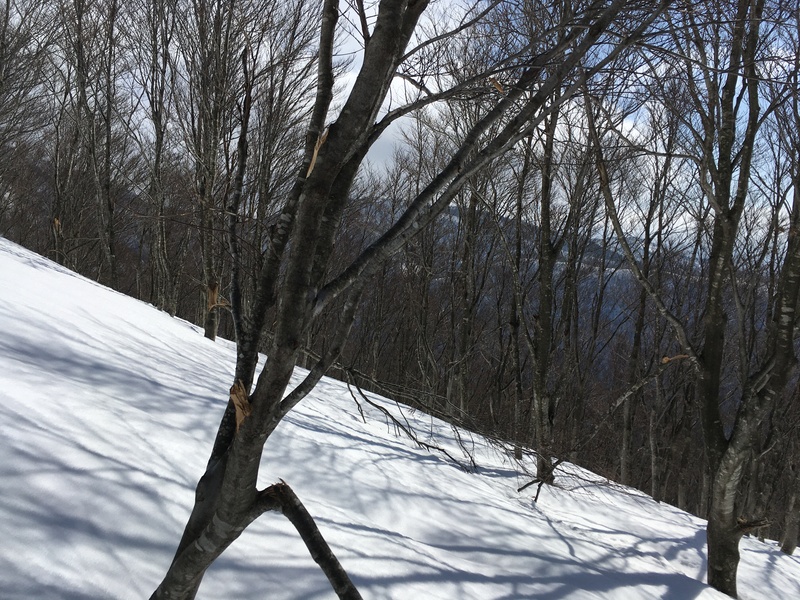 f:id:nceedo:20210213114114j:plain