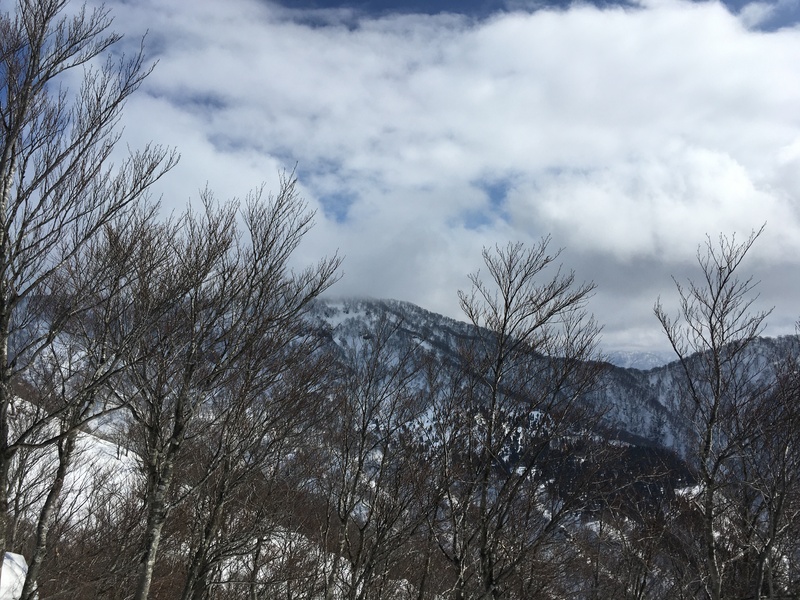 f:id:nceedo:20210213115209j:plain