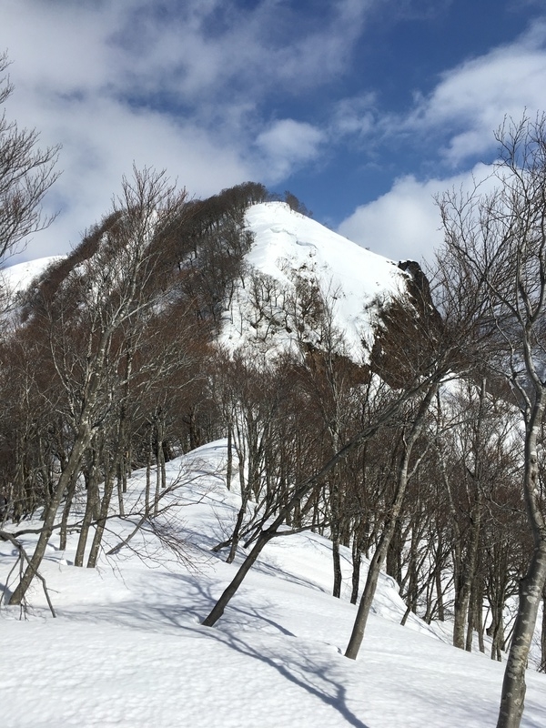 f:id:nceedo:20210213115327j:plain