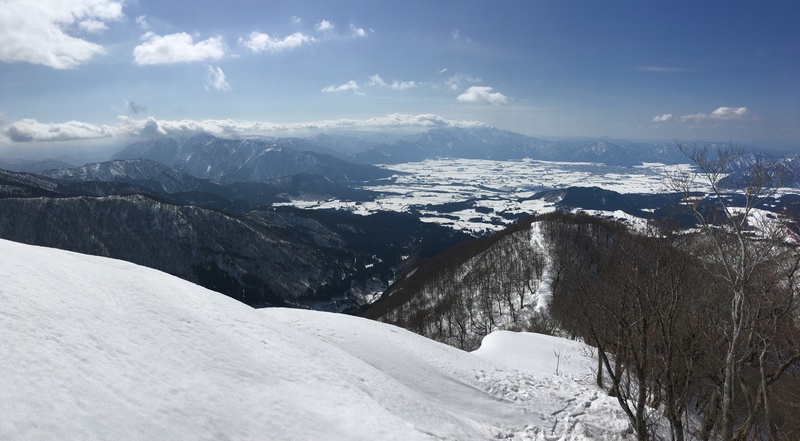 f:id:nceedo:20210213122352j:plain