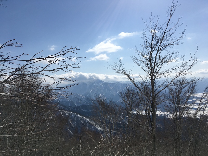 f:id:nceedo:20210213131502j:plain