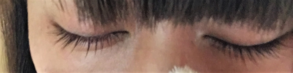 f:id:nctrchun:20170325235132j:plain f:id:nctrchun:20170325235132j:plain
