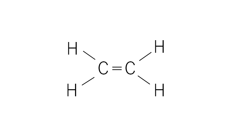 f:id:ncu-passproject:20200511171726p:plain