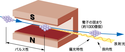 f:id:ncu-passproject:20201229121234p:plain