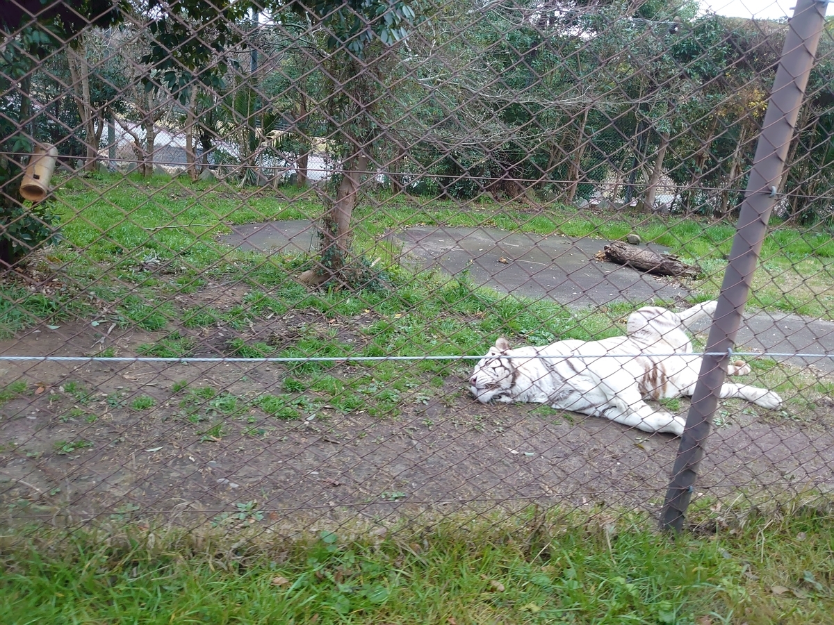 f:id:ndgnodekigoto:20200127234330j:plain