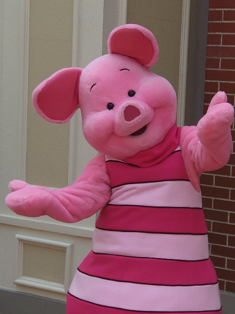 f:id:ndgnodekigoto:20210523205620j:image