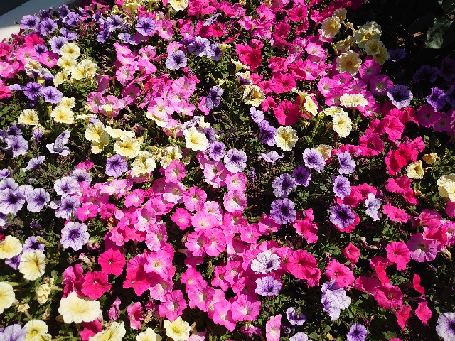 f:id:ndgnodekigoto:20210523205922j:image