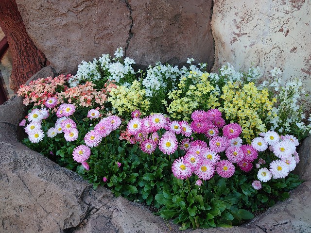 f:id:ndgnodekigoto:20210523210110j:image