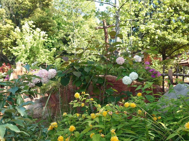 f:id:ndgnodekigoto:20210523210257j:image