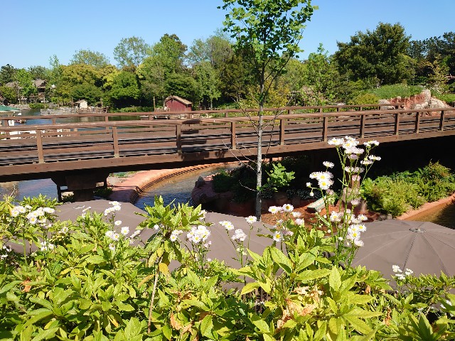 f:id:ndgnodekigoto:20210523210339j:image