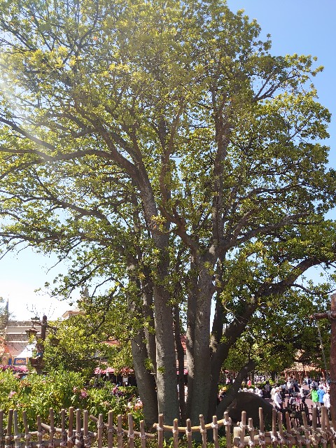 f:id:ndgnodekigoto:20210523210419j:image