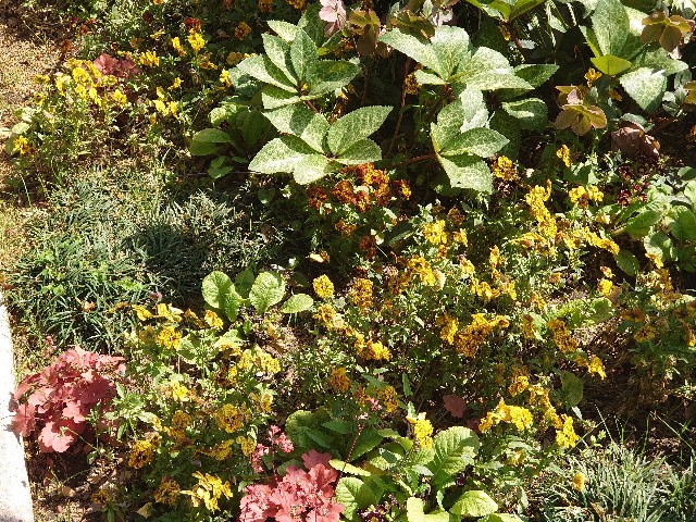 f:id:ndgnodekigoto:20210523210436j:image