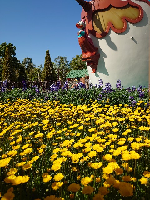 f:id:ndgnodekigoto:20210523210854j:image