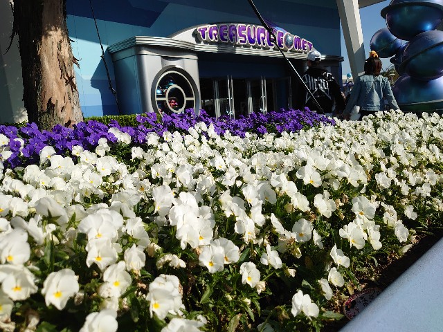 f:id:ndgnodekigoto:20210523211111j:image