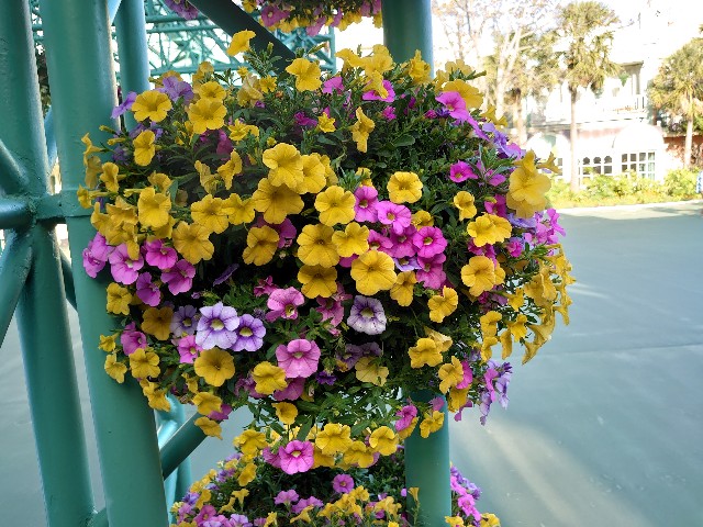 f:id:ndgnodekigoto:20210523211209j:image