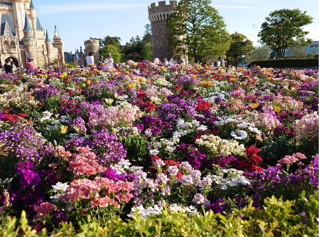 f:id:ndgnodekigoto:20210523211258j:image